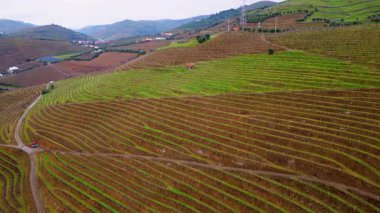 Terraced fields covering green slopes in countryside. Drone view farmland landscape with rolling hills. Patterned land forming peaceful natural scenery. Rural agriculture plants growing on hillside.