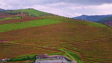 Aerial view terraced fields stretching on hillside under cloudy sky. Picturesque layered farmland in rural mountain region. Green plantation scenery. Cultivated earth showing calm agricultural harmony