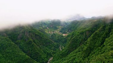 Drone view green mountains covered with morning mist create peaceful scenery. Cozy town hiding in dense greenery. Picturesque hills under soft fog. Forested slopes stretching endless under clouds.