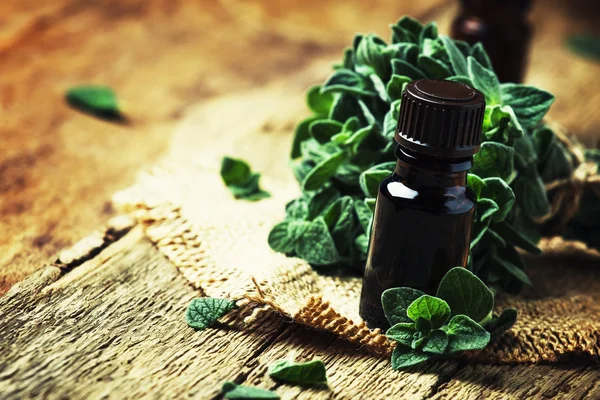 Organic essential oregano oil in a glass jar and a bunch of fresh marjoram, vintage wooden background, selective focus