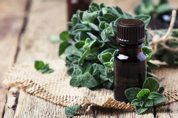 Organic essential oregano oil in a glass jar and a bunch of fresh marjoram, vintage wooden background, selective focus