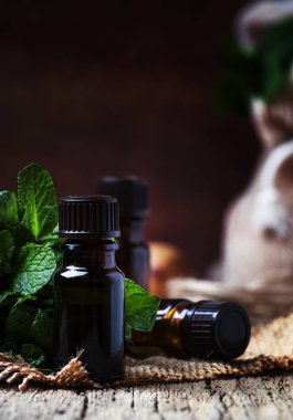 Nane taze yeşil nane, rustik tarzı, vintage ahşap arka plan, seçici odak ile küçük bir kahverengi şişe içinde uçucu yağ