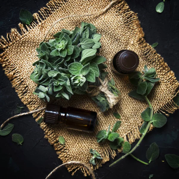 Essential oregano oil in a glass bottles and a bunch of fresh herbs, black background, top view