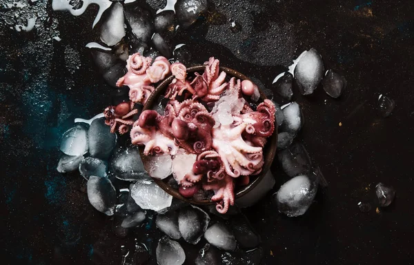 Küçük kırmızı hazır ahtapot ezilmiş buz, ıslak siyah arka plan, üstten görünüm