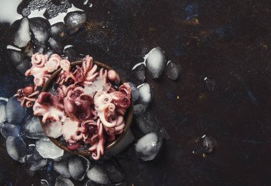 Küçük kırmızı hazır ahtapot ezilmiş buz, ıslak siyah arka plan, üstten görünüm