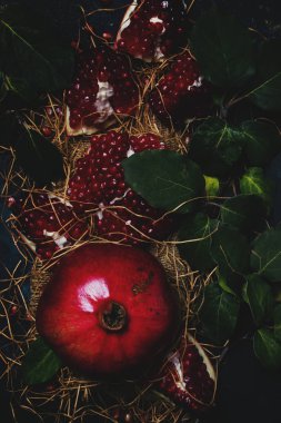 Starw, rustik tarzı, siyah arka plan, kırmızı nar ana sayfa görünümü