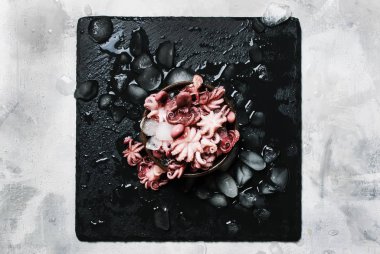 Küçük kırmızı hazır ahtapot ezilmiş buz, ıslak siyah arka plan, üstten görünüm