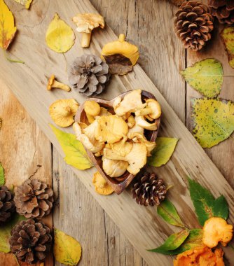 Orman bir kase, rustik tarzı, vintage ahşap arka plan, üstten görünüm Cantharellus cibarius mantar