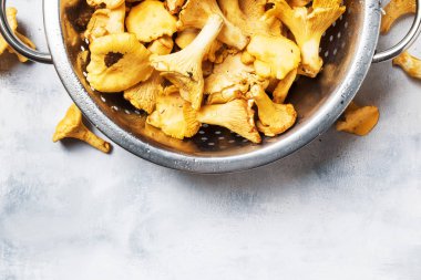 Orman bir çelik kevgir, gri arka plan, üstten görünüm Cantharellus cibarius mantar