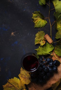 Kırmızı şarap kadehinin üzüm çeşitleri cabernet sauvignon, gelen iç arka plan, üstten görünüm