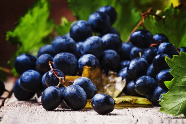 Uvas Vino Azul Con Vid Hojas Verdes Bodegón Rústico Fondo — Foto de Stock