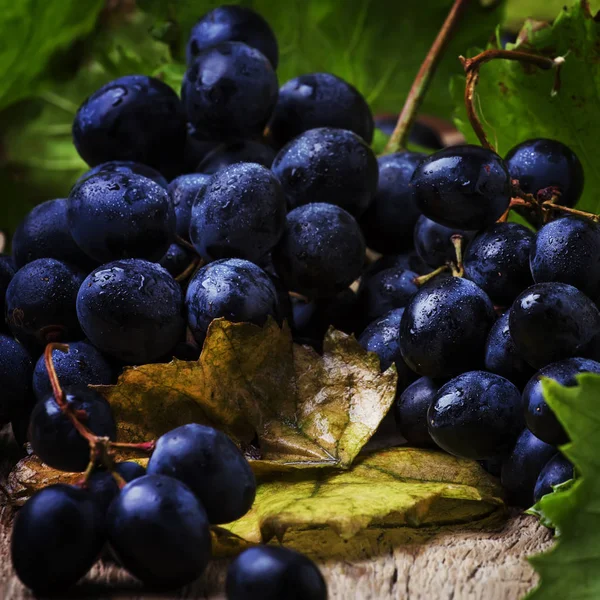Uvas Vino Azul Con Vid Hojas Verdes Bodegón Rústico Fondo — Foto de Stock