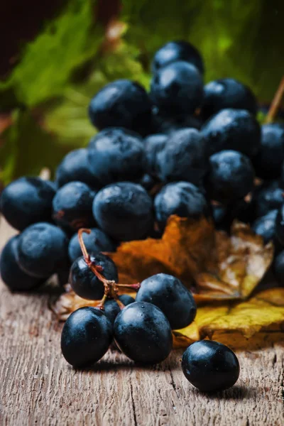 Uvas Vino Azul Con Vid Hojas Verdes Bodegón Rústico Fondo —  Fotos de Stock