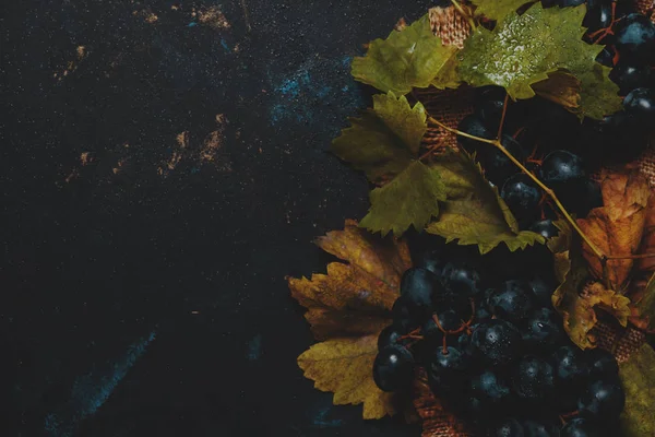 Uvas Vino Azul Con Vid Hojas Fondo Negro Vista Superior — Foto de Stock