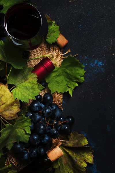 Red Wine Wineglass Grape Varieties Cabernet Sauvignon Drink Background Top — Stock Photo, Image