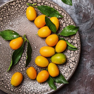 Taze Kamkat yapraklarla, üstten görünüm