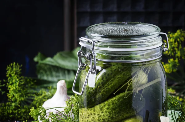 Homemade Gemarineerde Komkommer Met Dille Kruiden Een Glazen Pot Een — Stockfoto