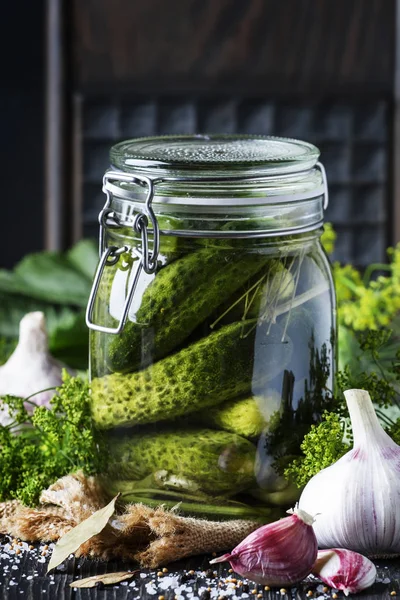 Hausgemachte Marinierte Gurken Mit Dill Und Gewürzen Einem Glas Auf — Stockfoto