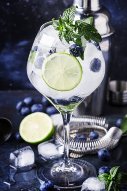 Yaz alkollü kokteyl böğürtlenli mojito ROM, nane, limon ve buz, Araçlar, gri arka plan, seçici odak bar