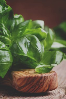 Zeytin harç havaneli, vintage ahşap arka plan, rustik tarzı ile taze yeşil fesleğen