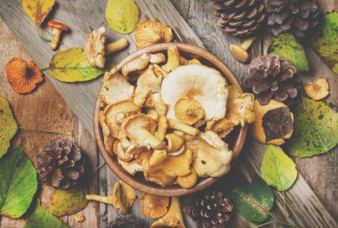 Orman mantar Cantharellus cibarius bir kase, rustik tarzı, vintage ahşap arka plan