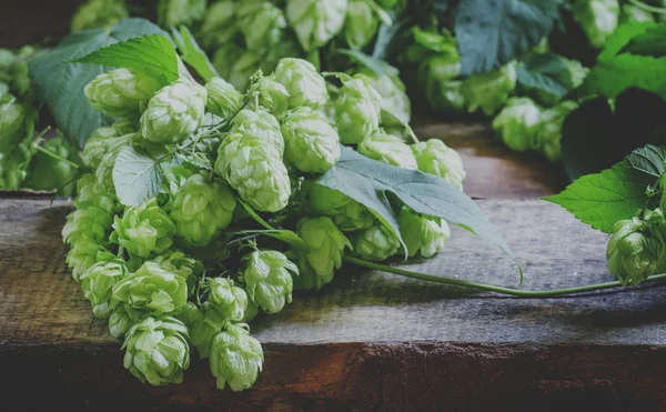 Hop cones and twine vine with leaves on a dark wooden background