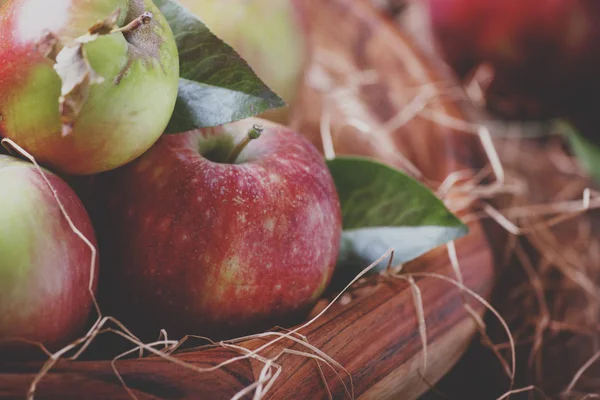 Cosecha Fresca Manzanas Dulces Otoño Tazón Grande Con Heno Sobre — Foto de Stock