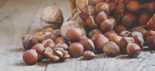 Noix Noisettes Versé Des Paniers Écorce Bouleau Tissé — Photo