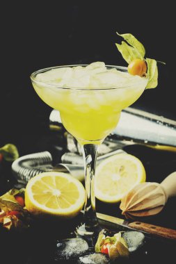 Alkol kokteyl kış tutku meyve, bira, şurup, limon suyu, ezilmiş buz ve physalis