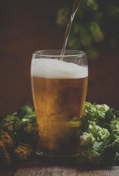 Glas Schäumendes Bier Und Hopfenzapfen Auf Altem Holzgrund — Stockfoto