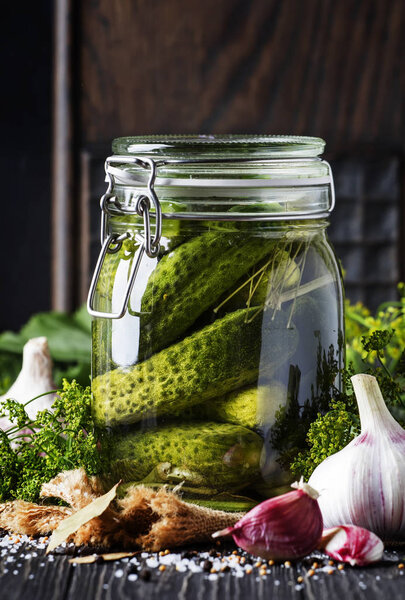 Homemade marinated or pickled cucumbers with dill, garlic and spices in big glass jar on rustic brown table, selective focus