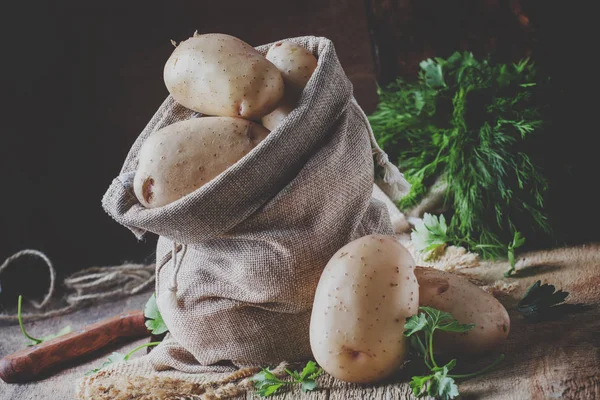 Recolta Toamnă Cartofilor Sac Pânză Masa Veche Din Lemn Stil — Fotografie, imagine de stoc