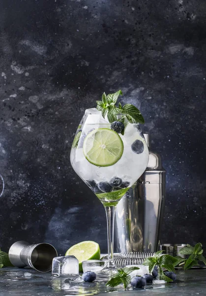 Yaz Alkollü Kokteyl Böğürtlenli Mojito Rom Yeşil Nane Limon Araçları — Stok fotoğraf