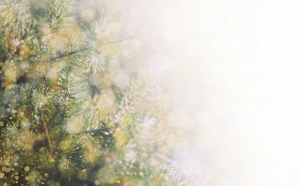 Capodanno Sfondo Natale Con Albero Natale Luci Colorate Bokeh Messa — Foto Stock