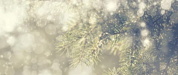 Nieuwjaar Kerstmis Achtergrond Met Kerstboom Kleurrijke Bokeh Lichten Banner Selectieve — Stockfoto