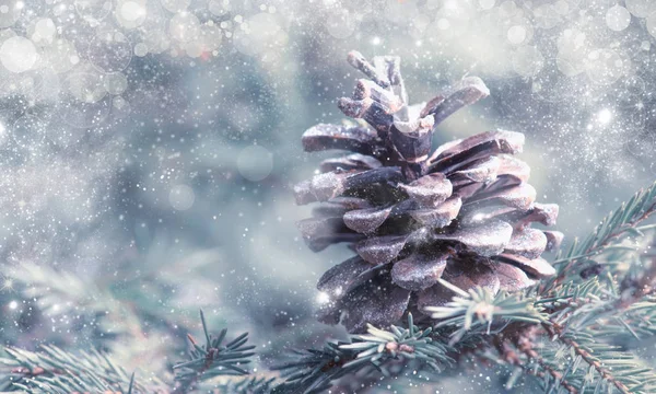 Natal Ano Novo Fundo Neve Turva Com Abeto Festivo Cones — Fotografia de Stock