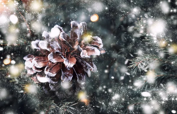 Natal Ano Novo Fundo Neve Turva Com Abeto Festivo Cones — Fotografia de Stock