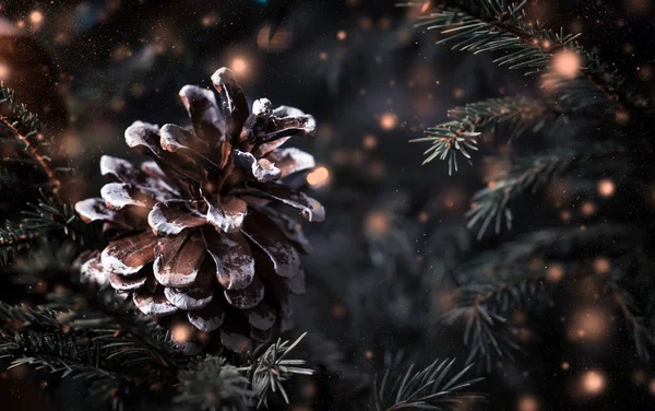 Boże Narodzenie Czy Nowy Rok Niewyraźne Tło Śniegu Uroczysty Drzewa — Zdjęcie stockowe