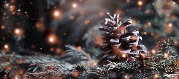 Noel ve yeni yıl kar arka plan ile şenlikli ağaç, çam kozalakları, seçici odak bulanık