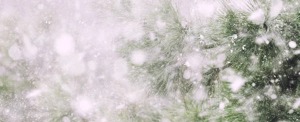 Ano Novo Fundo Natal Com Árvore Natal Luzes Bokeh Coloridas — Fotografia de Stock