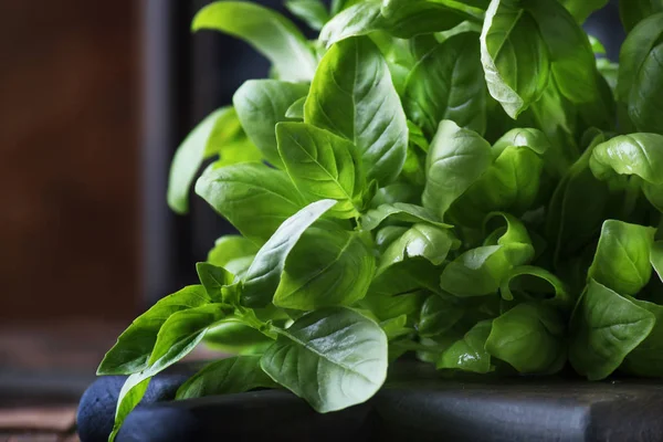 Fresh Green Basil Spice Herb Selective Focus — Stock Photo, Image