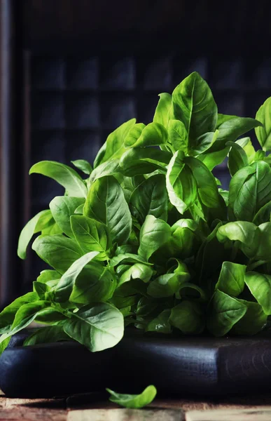 Fresh Green Basil Spice Herb Selective Focus — Stock Photo, Image
