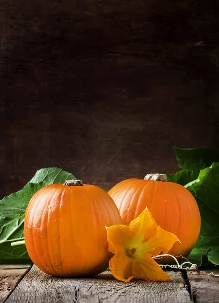 Herbsternte Der Kürbisse Mit Blüten Und Blättern Alter Holztisch Stilleben — Stockfoto