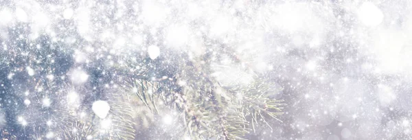 Nieuwjaar Kerstmis Achtergrond Met Kerstboom Kleurrijke Bokeh Lichten Banner Selectieve — Stockfoto