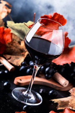 Büyük bardakta kurumuş kırmızı şarap, gri arka planda kırmızı ve sarı yapraklı sonbahar hayatı, şarap tatma, seçici odak
