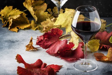 Dry red wine in large glass, autumn still life with red and yellow leaves on gray background, wine tasting, selective focus clipart