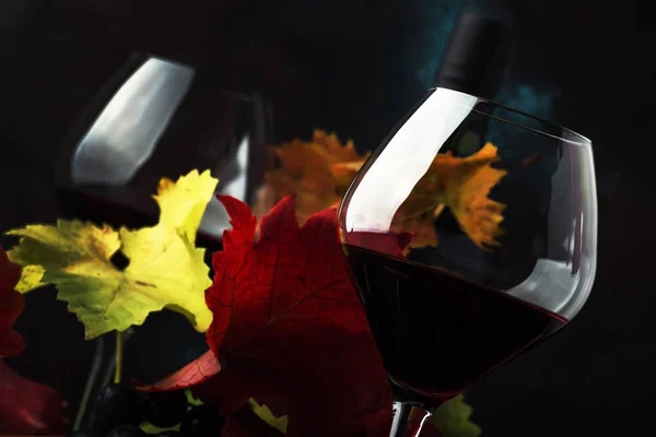 Dry Red Wine Pinot Noir Grapes Large Glasses Autumn Still — Stock Photo, Image