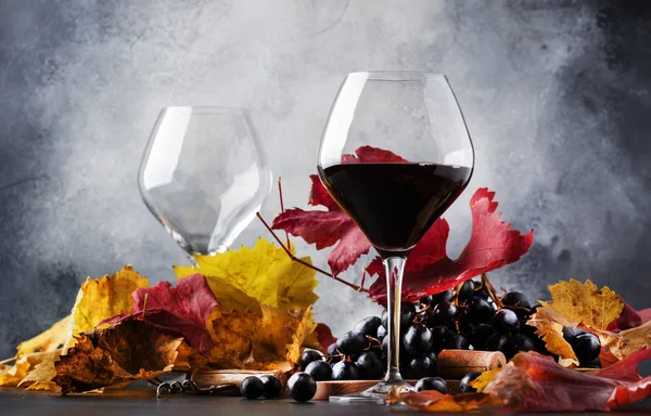 Dry red wine in large glass, autumn still life with red and yellow leaves on gray background, wine tasting, selective focus