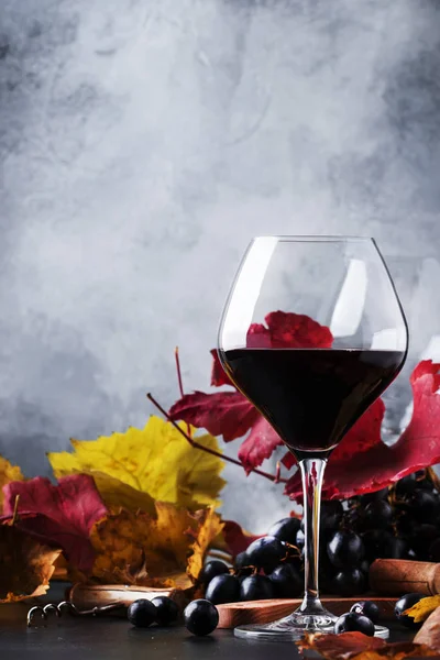 Dry red wine in large glass, autumn still life with red and yellow leaves on gray background, wine tasting, selective focus