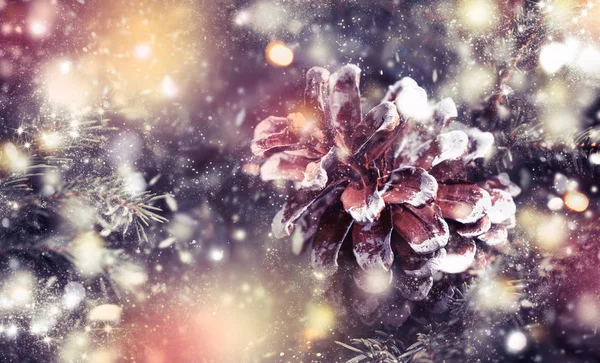 Weihnachten Oder Neujahr Verschwommener Schneehintergrund Mit Festlichem Tannenbaum Und Tannenzapfen — Stockfoto